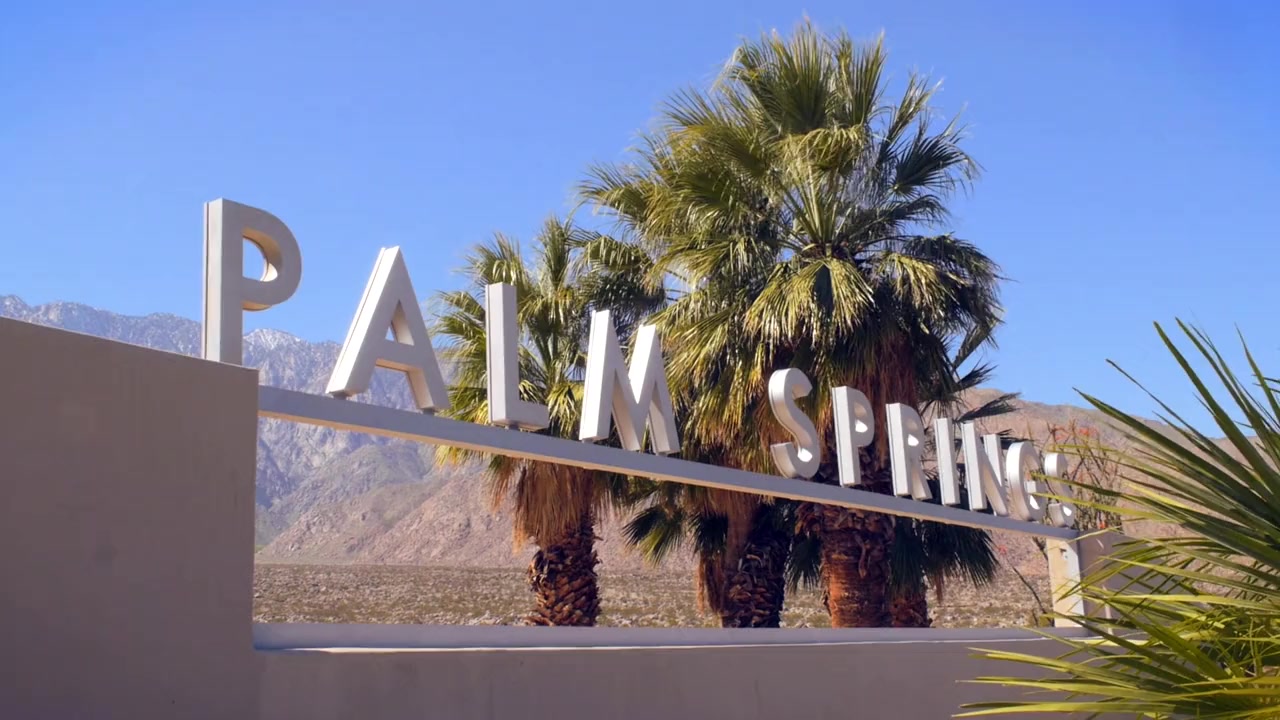 Desert Age: A Rock and Roll Scene History screenshot 2