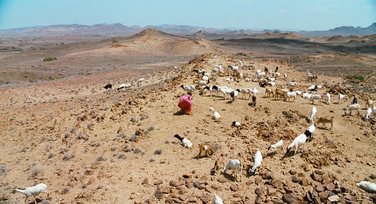 Desert Flower screenshot 1