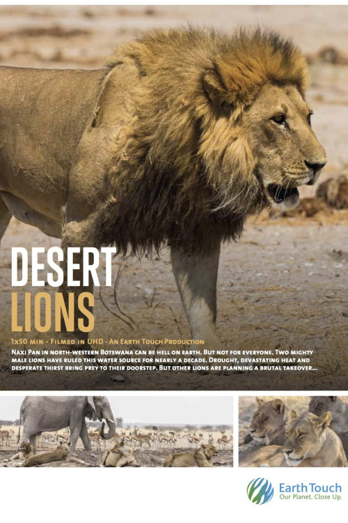 Desert Lions (2017) poster