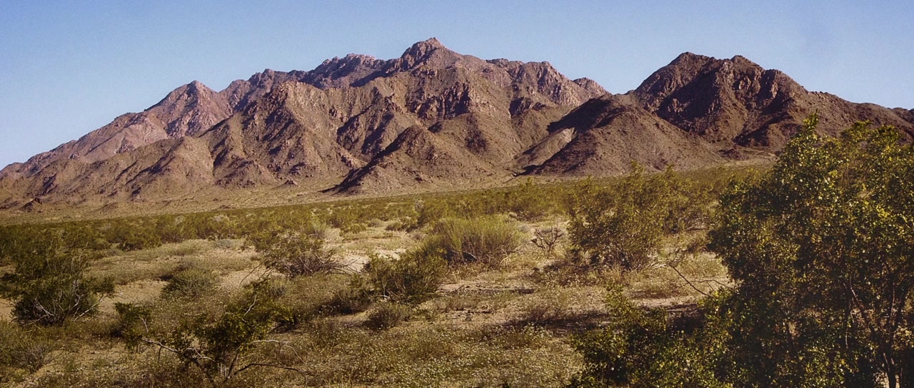 Desert Quarantine screenshot 1
