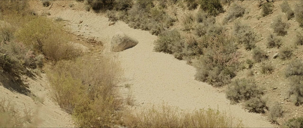 Desert Shadows screenshot 1