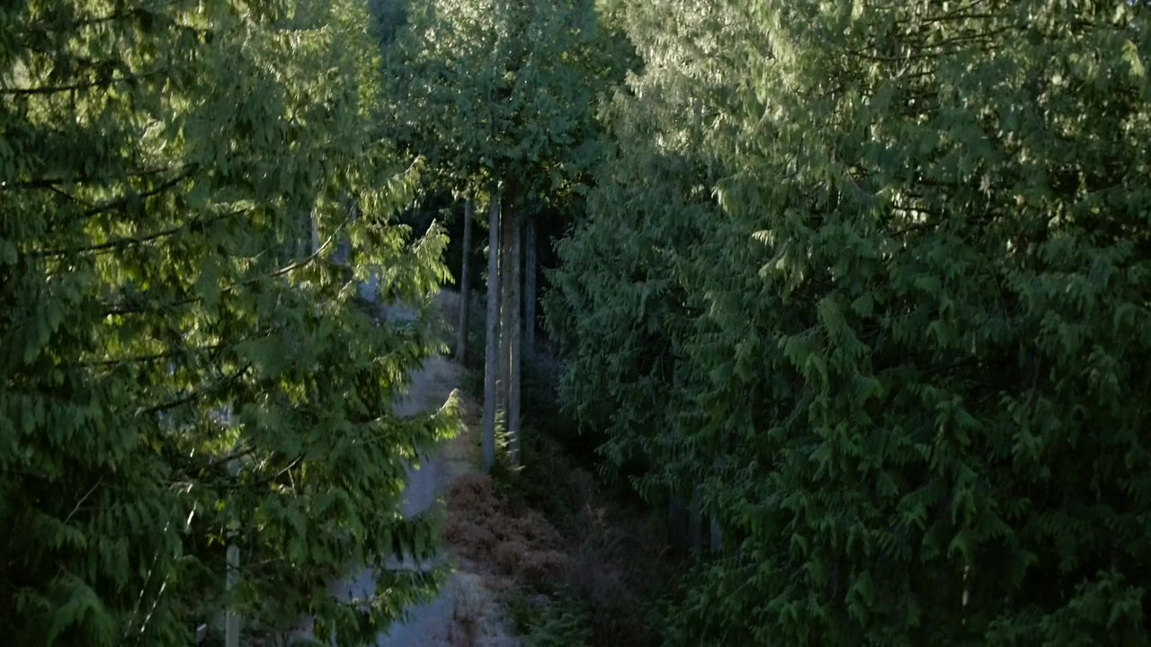 Desire: A Temptations Story screenshot 2
