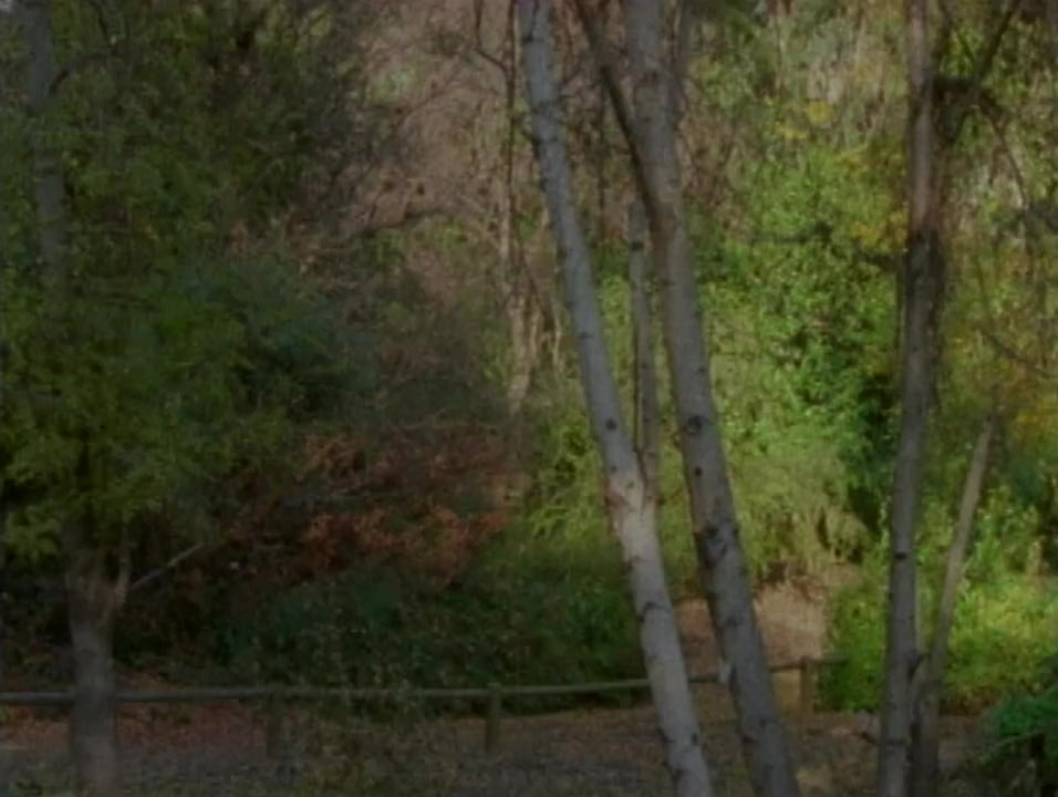 Desperate Obsession screenshot 1