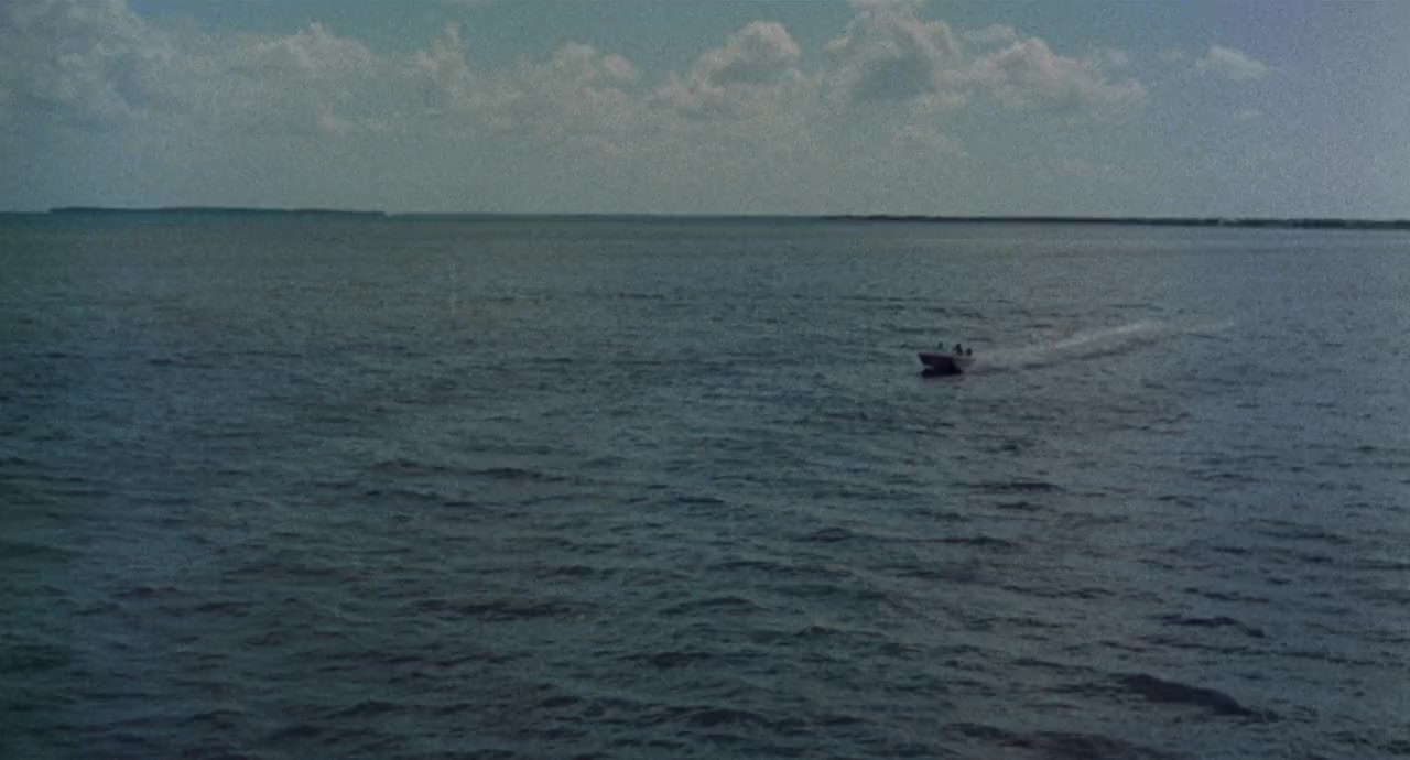 Destination Inner Space screenshot 3