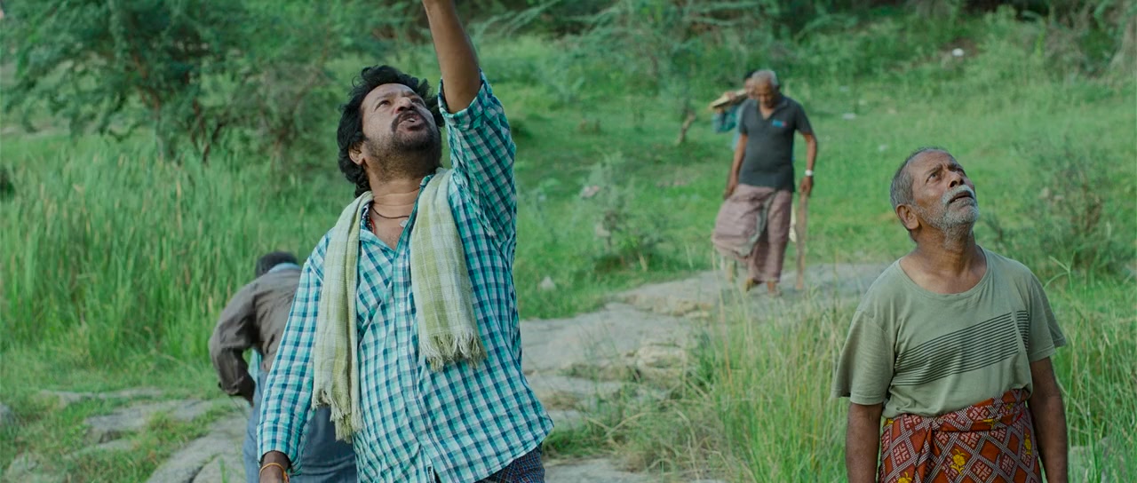 Dhandoraa screenshot 1
