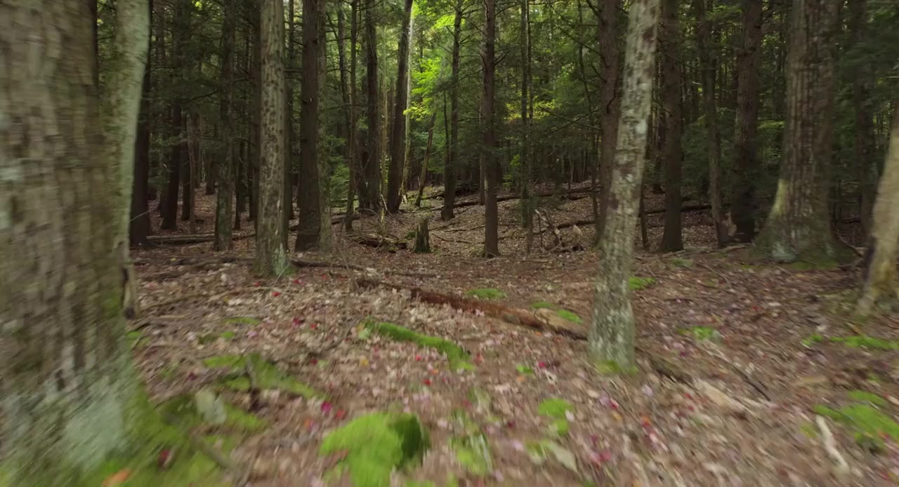 Ditch Boys screenshot 1