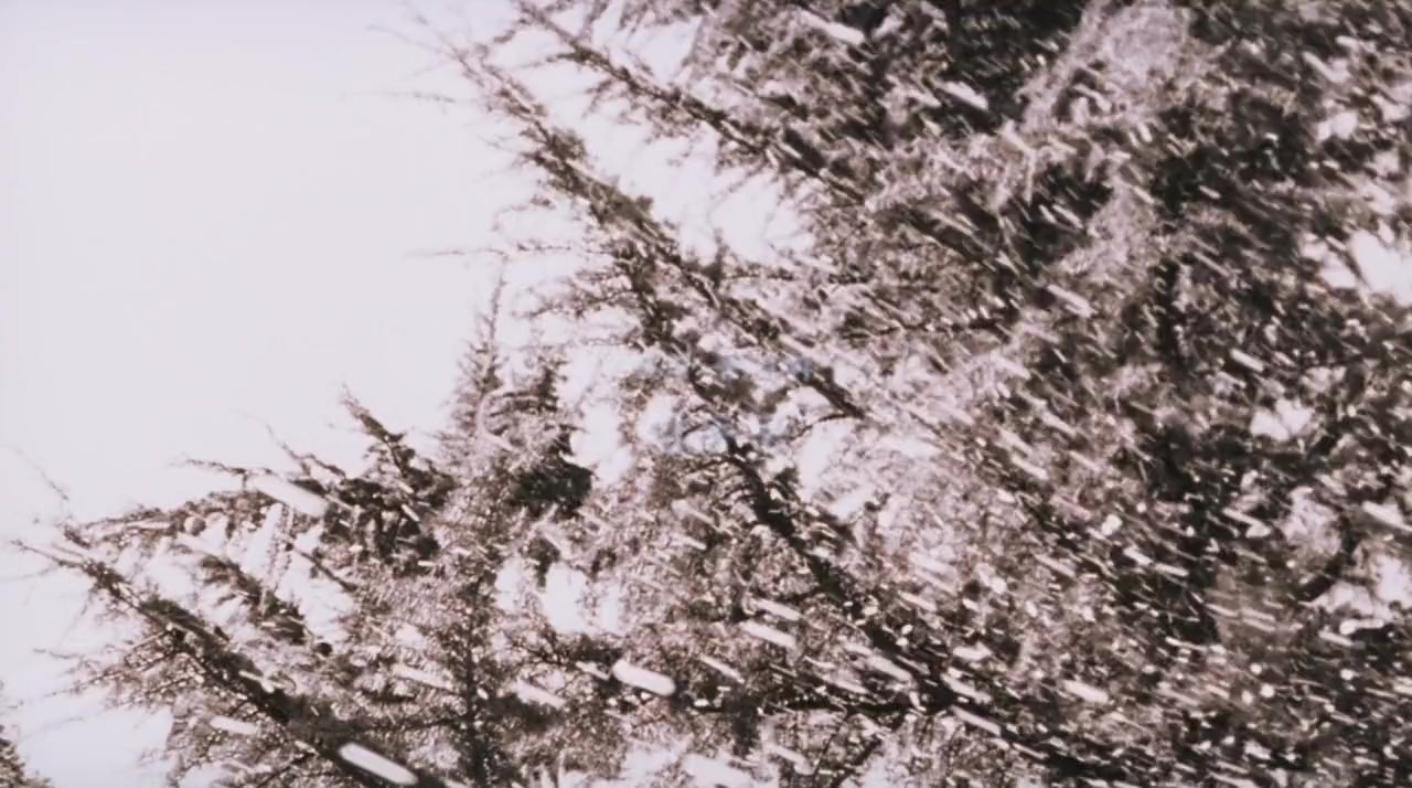 Donggam screenshot 1