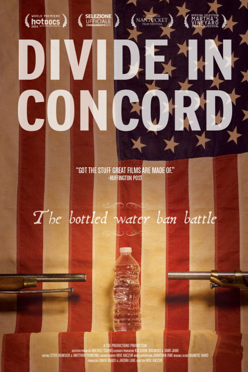 Divide in Concord (2014) poster