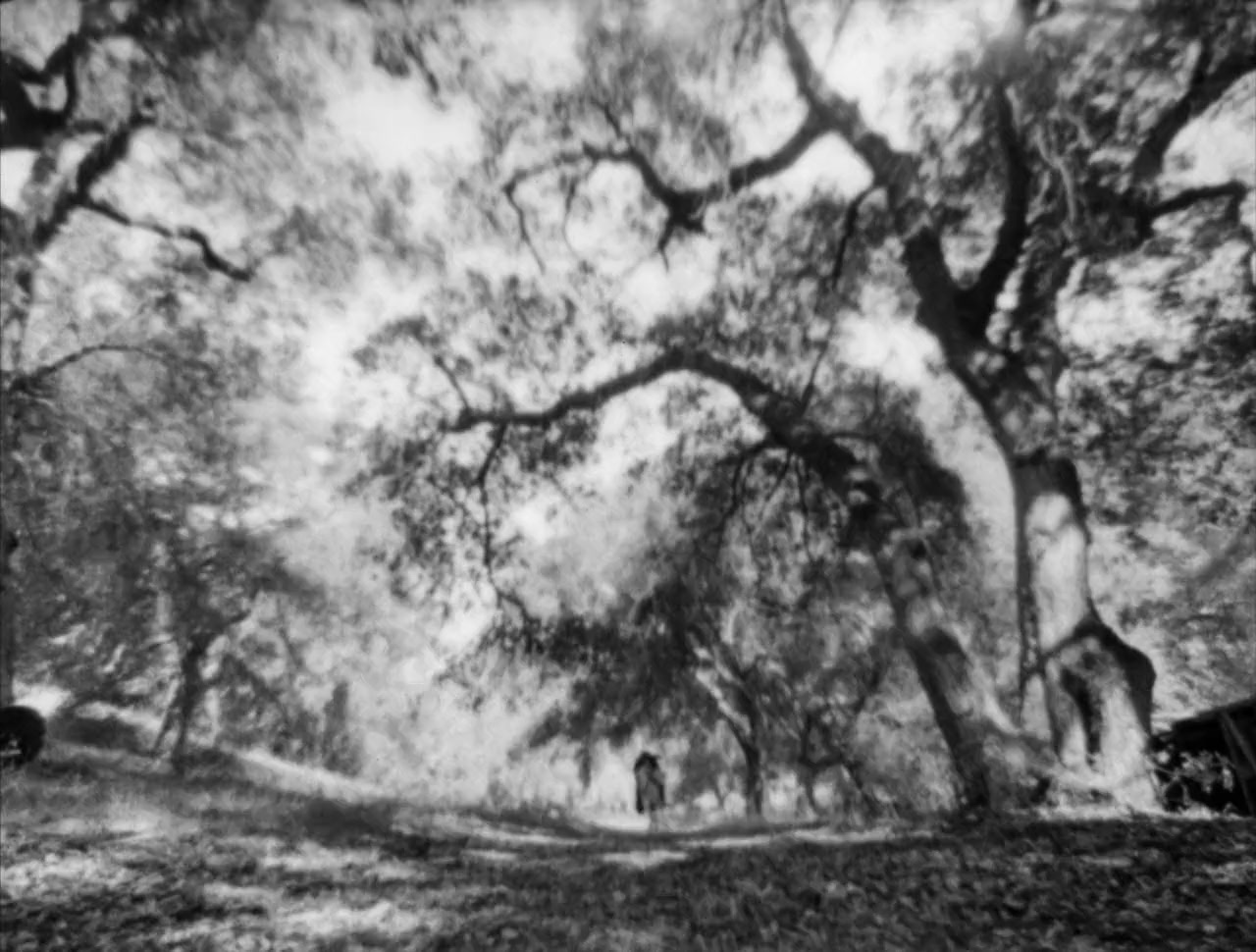 Divided We Fall screenshot 2