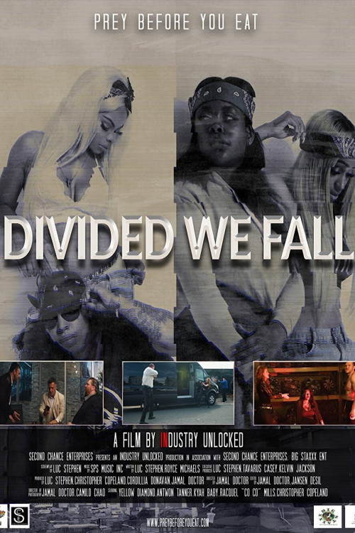 Divided We Fall (2021) poster