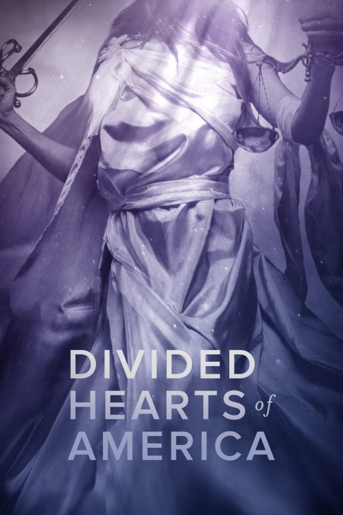 Divided Hearts of America (2020) poster