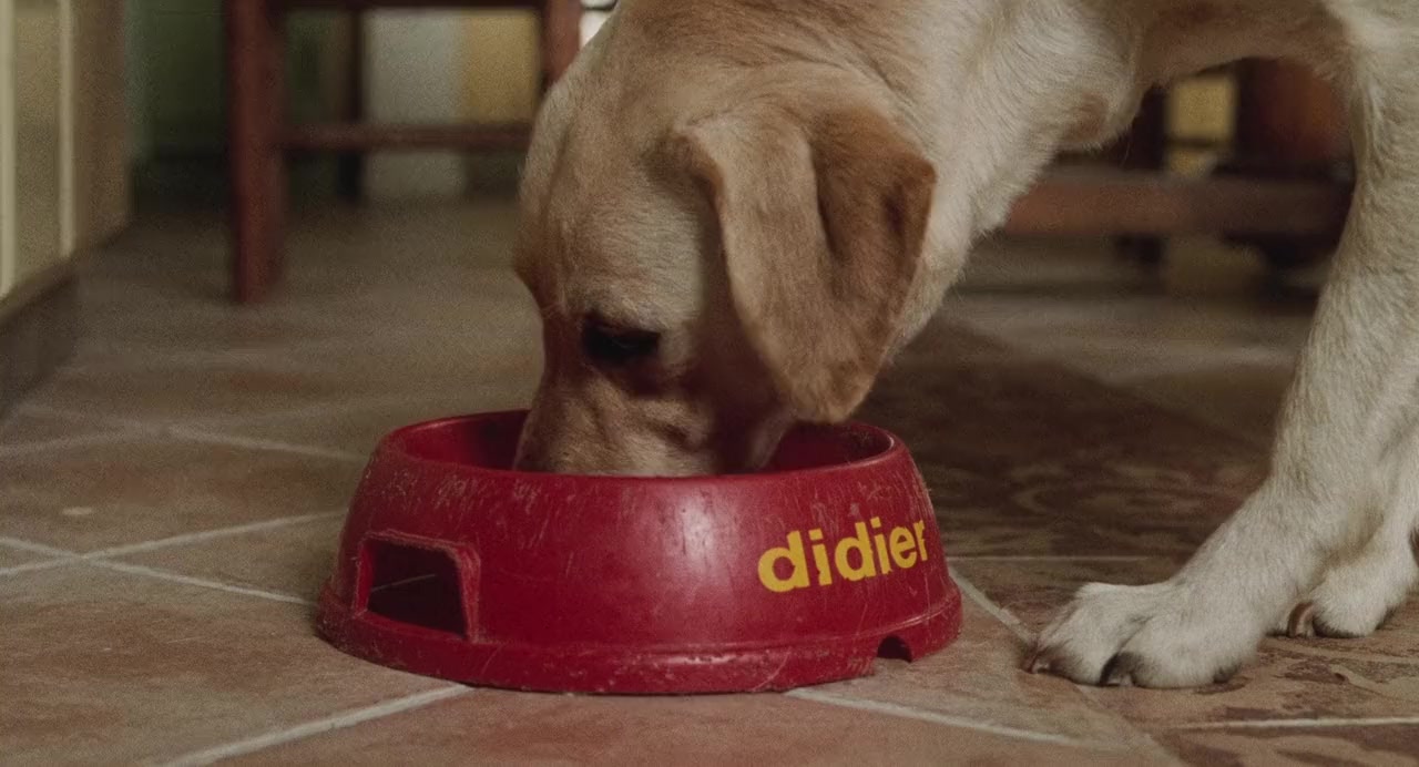 Didier screenshot 2