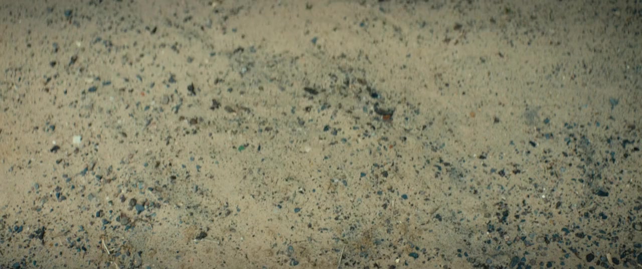 Die Känguru-Verschwörung screenshot 3