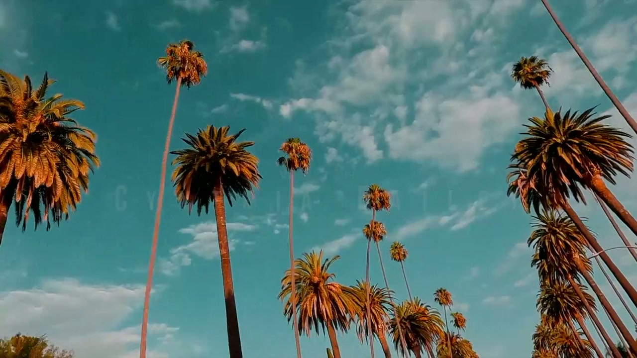 Different with Me screenshot 1