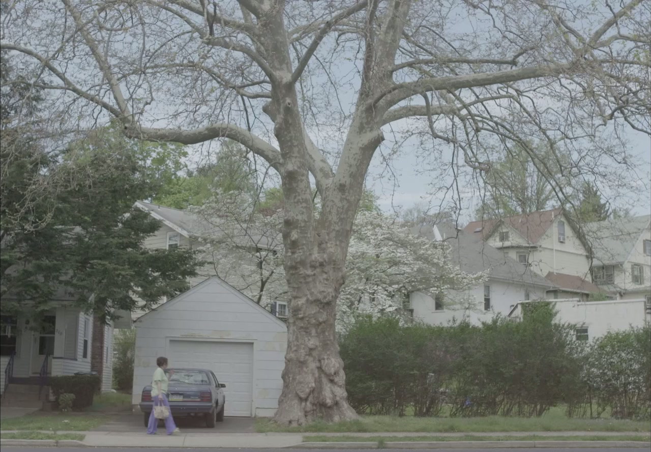 Dina screenshot 1