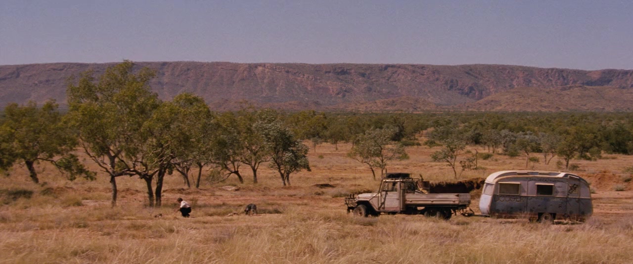 Dingo screenshot 1