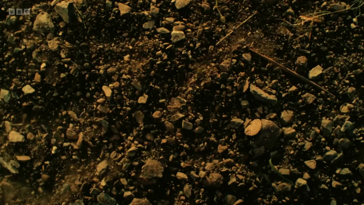 Dinosaurs - The Final Day with David Attenborough screenshot 2