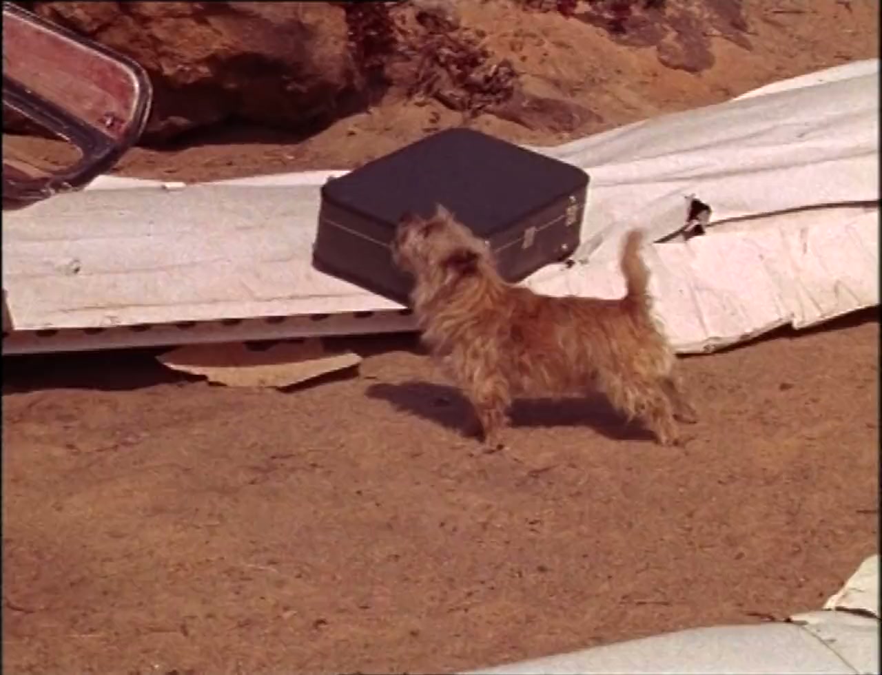 Dirkie screenshot 3