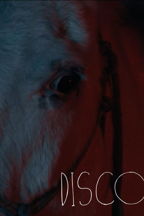 Disco (2025) poster
