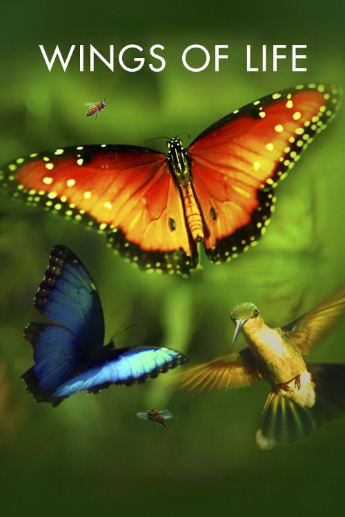 Pollen (2011) poster