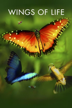 Pollen (2011) poster