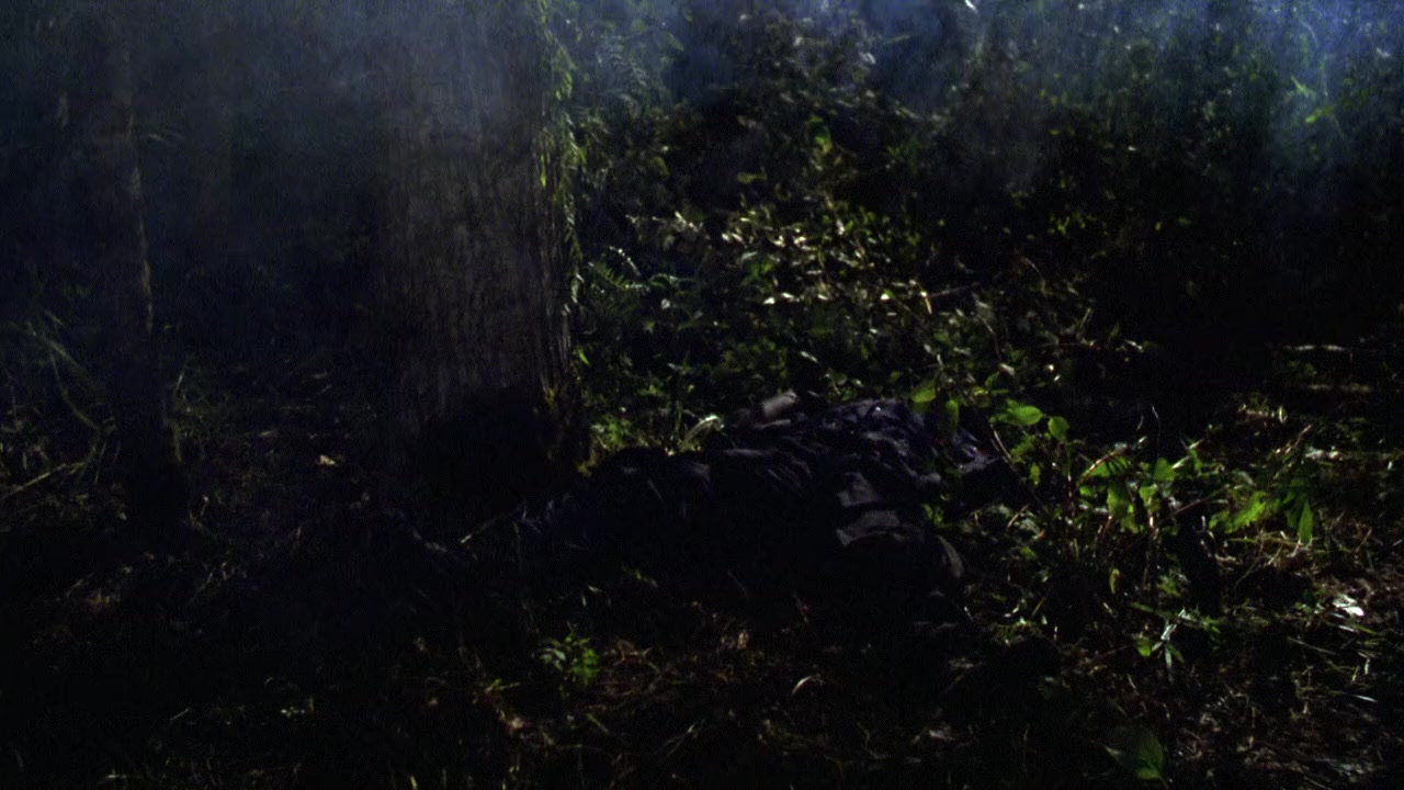 Distant Thunder screenshot 1