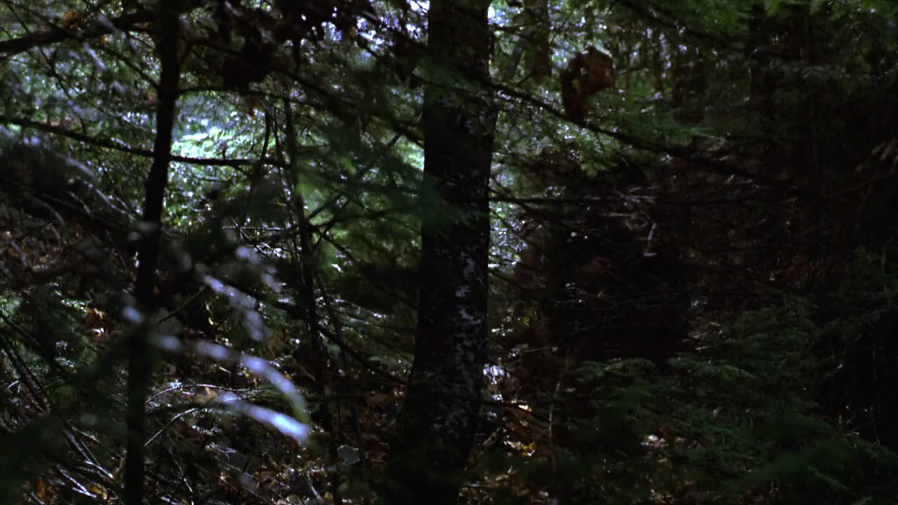 Distant Thunder screenshot 2