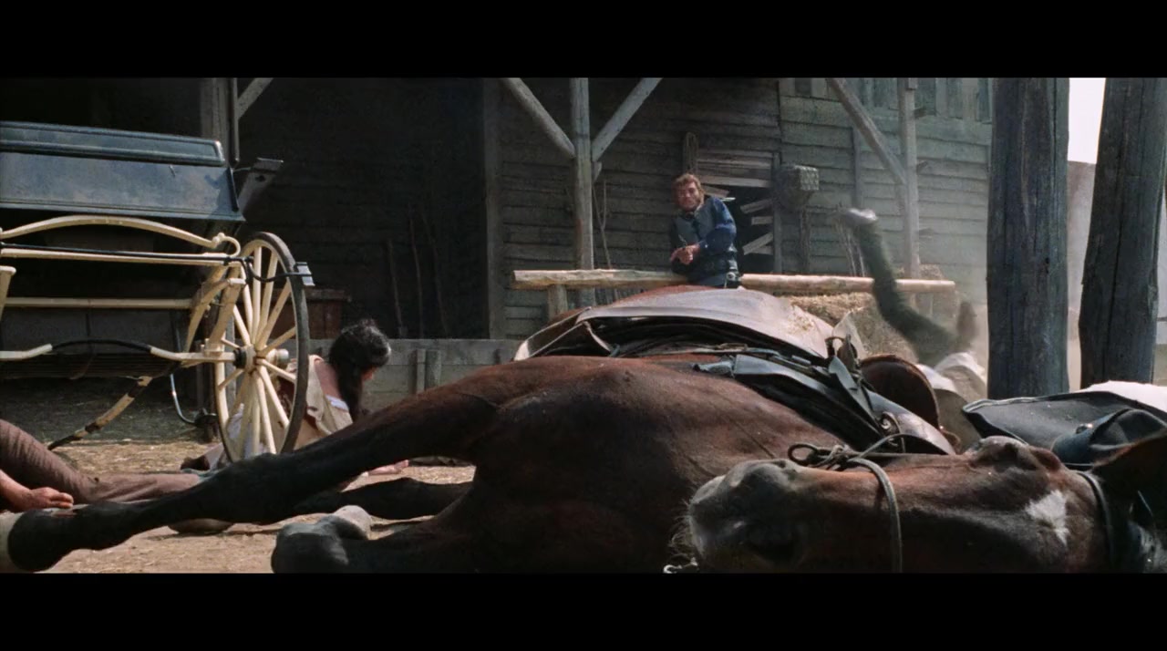 Django & Django screenshot 1