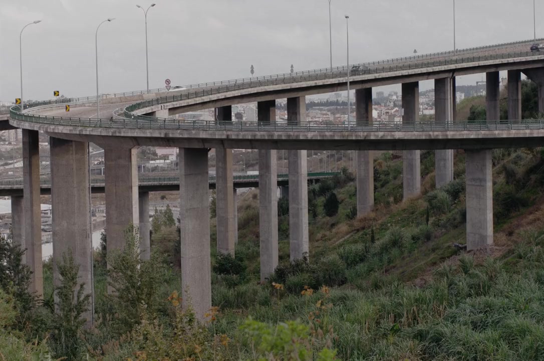 Djon Africa screenshot 2