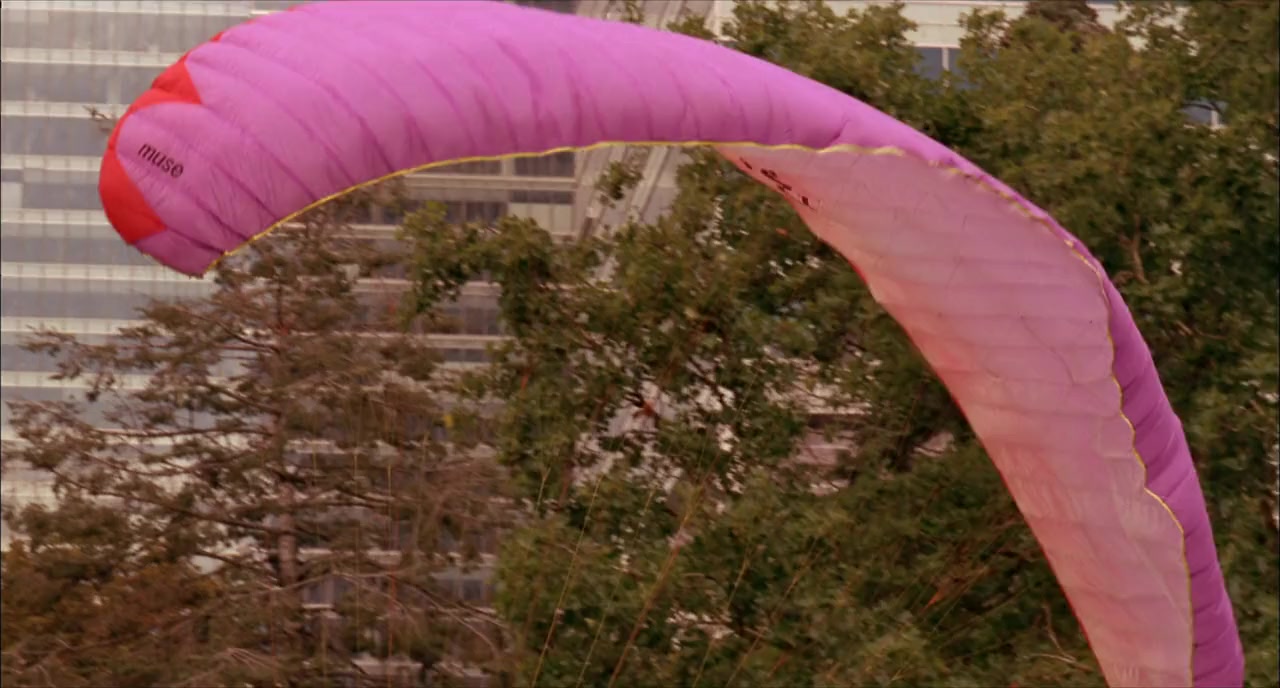 Dlaczego nie! screenshot 3