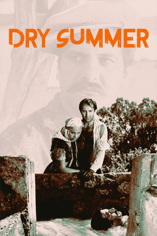 Susuz Yaz (1963) poster