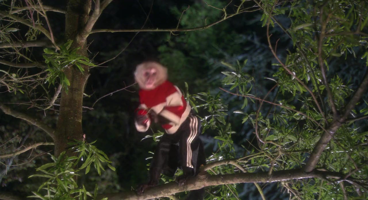 Dr. Dolittle 3 screenshot 3