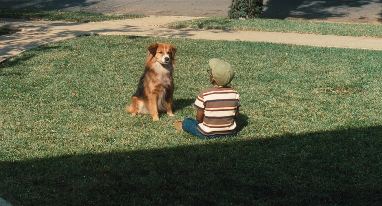 Dr. Dolittle 2 screenshot 1