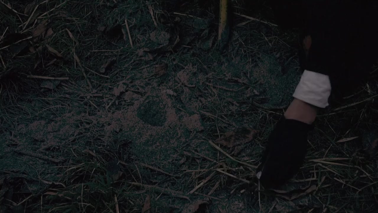 Dracula A.D. 1972 screenshot 1