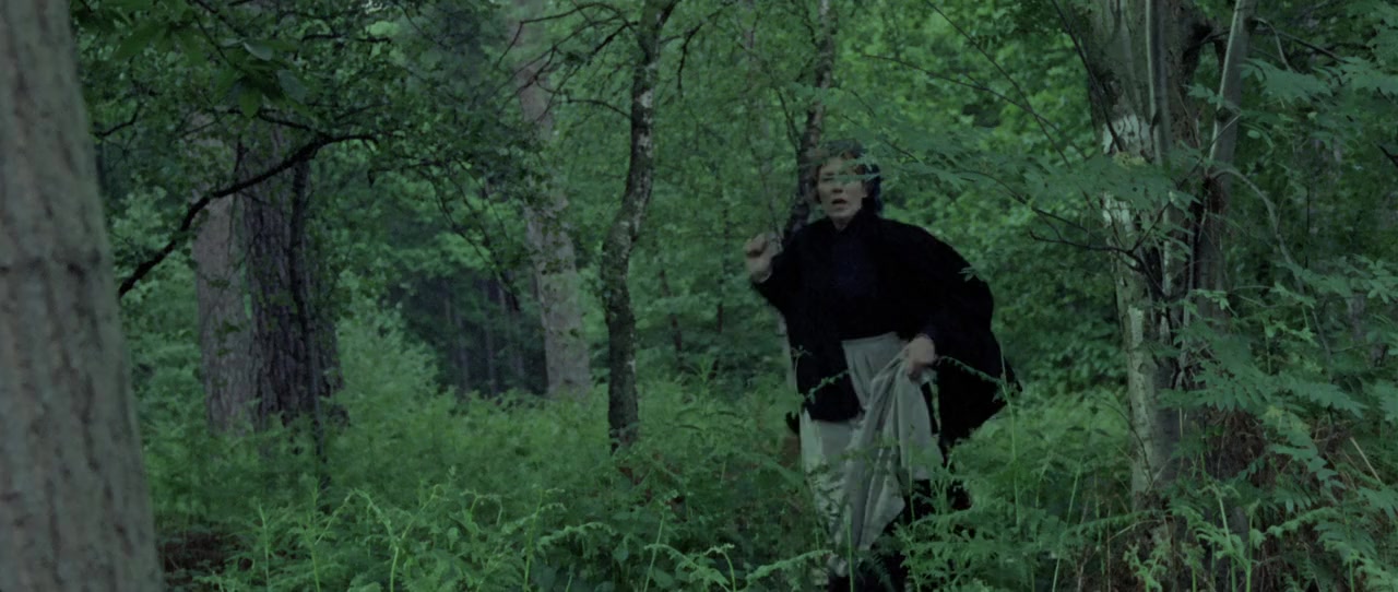 Dracula, Prince of Darkness screenshot 3