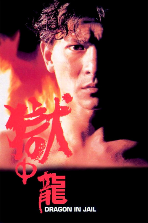 Yuk chung lung (1990) poster