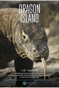 Dragon Island (2016) poster