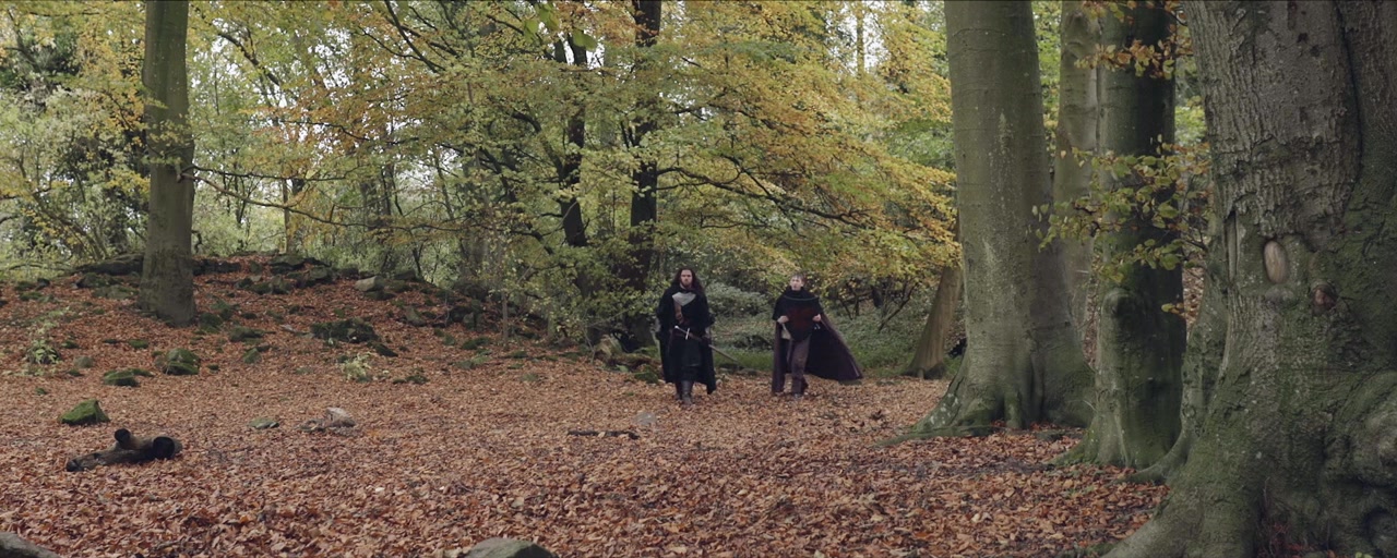 Dragon Knight screenshot 1