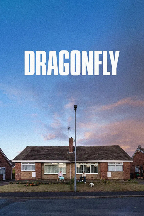 Dragonfly (2025) poster