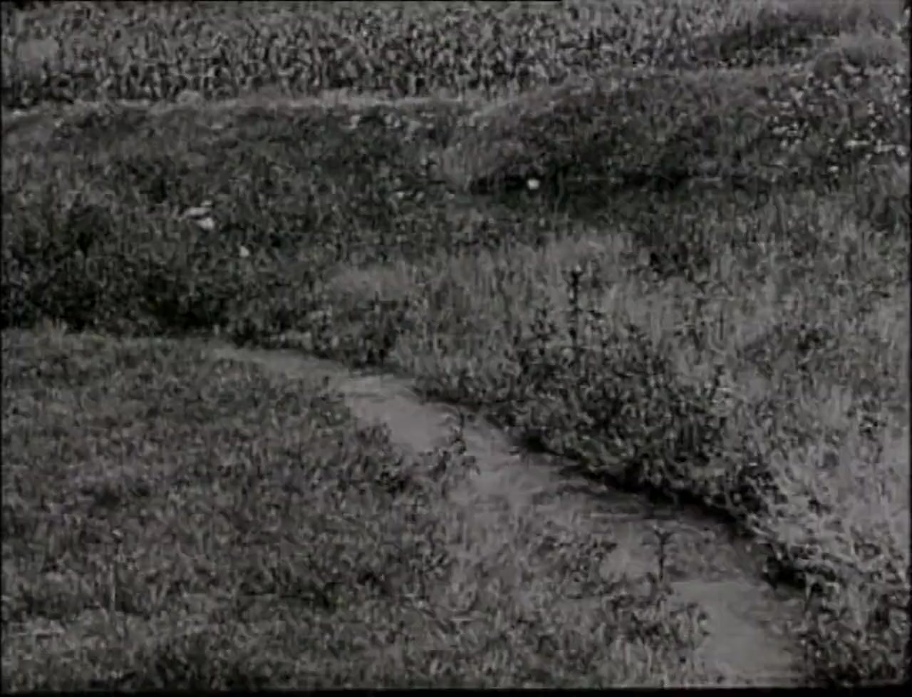 Dragus screenshot 1