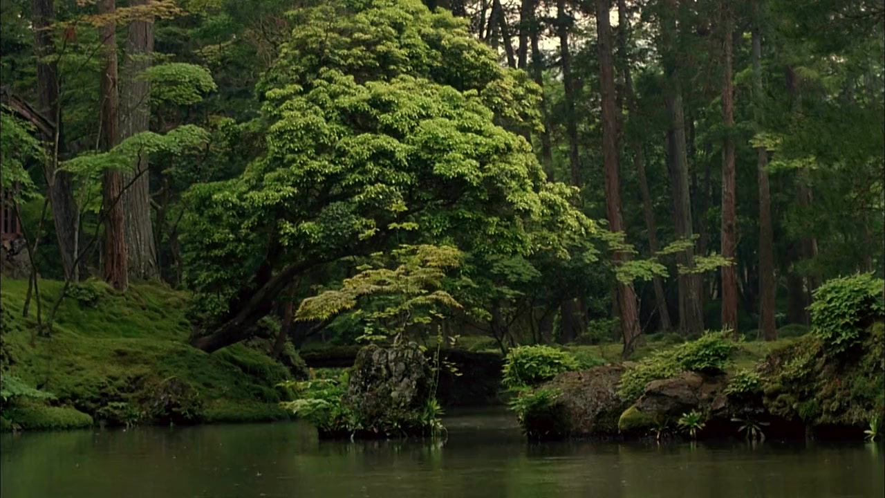 Dream Window: Reflections on the Japanese Garden screenshot 2