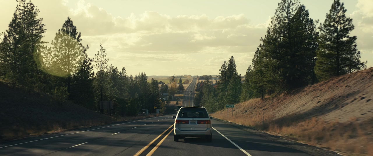 Dreamin' Wild screenshot 2