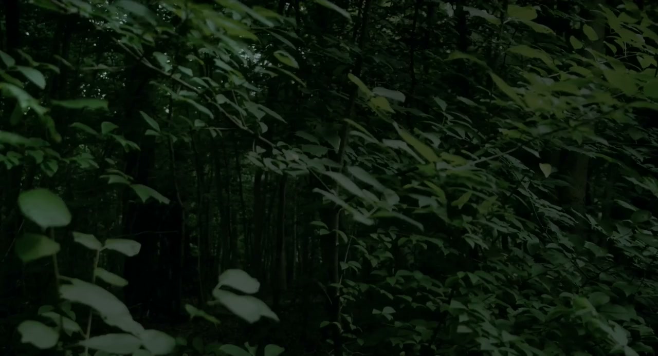 Dreaming Murakami screenshot 2