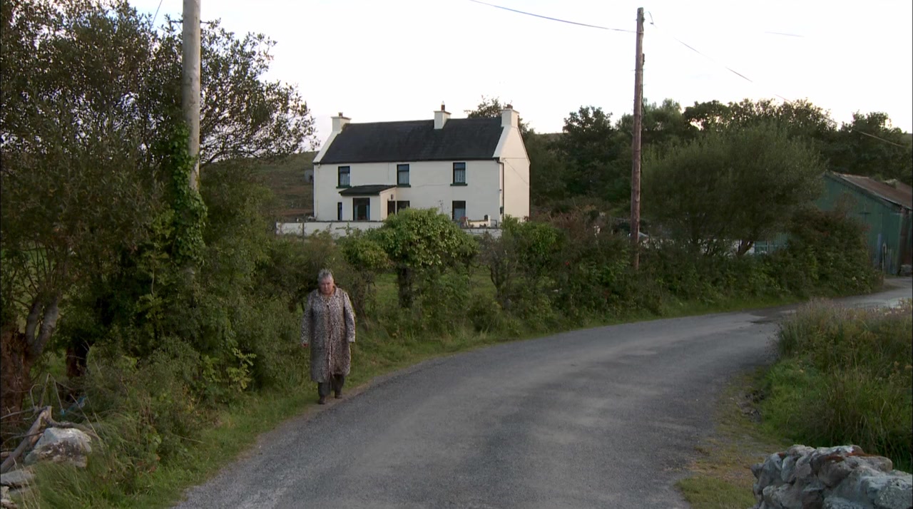 Dreaming the Quiet Man screenshot 2