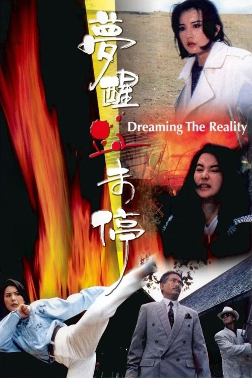 Meng xing xue wei ting (1991) poster
