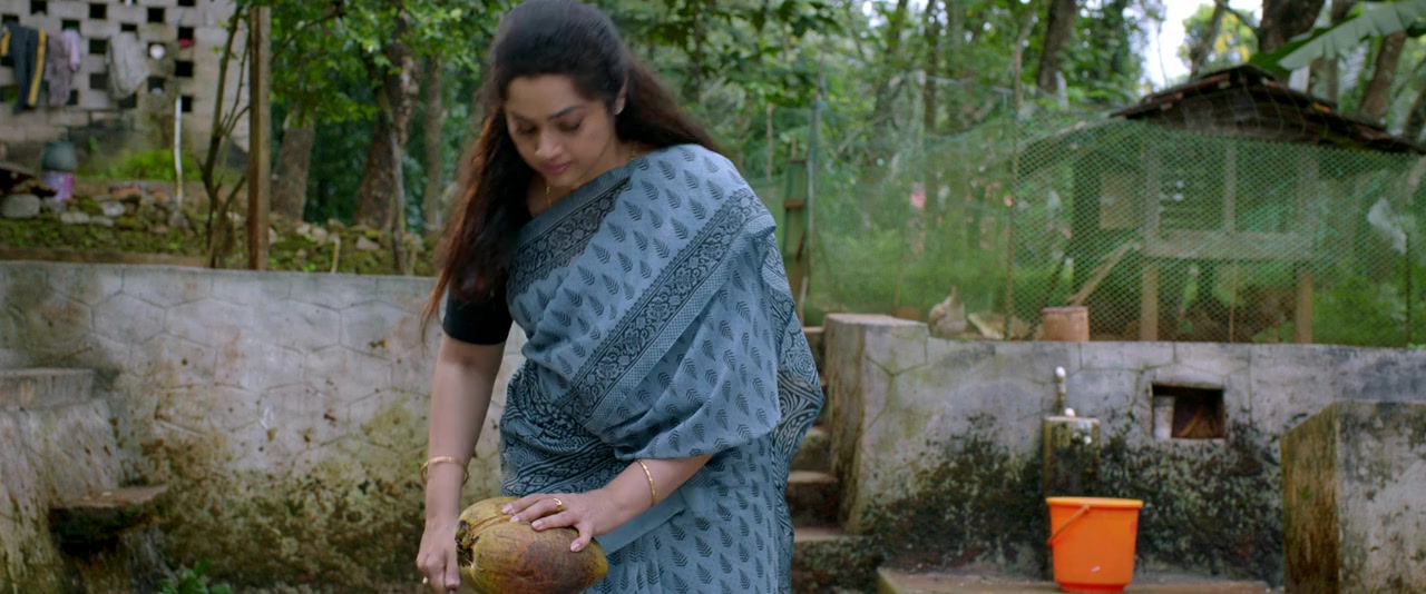 Drishyam 2 screenshot 3