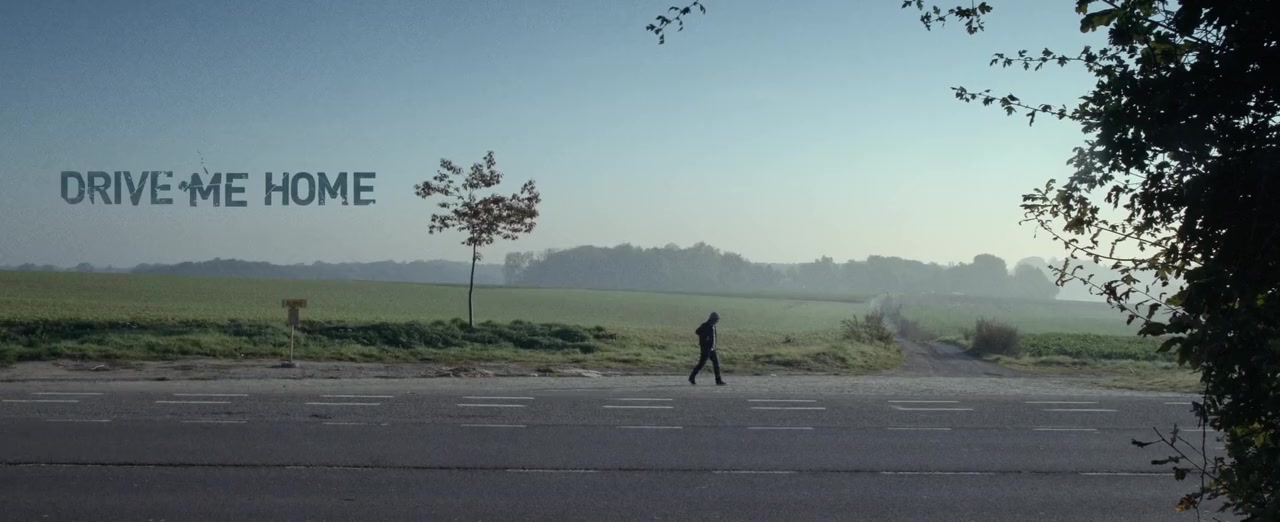 Drive Me Home screenshot 2