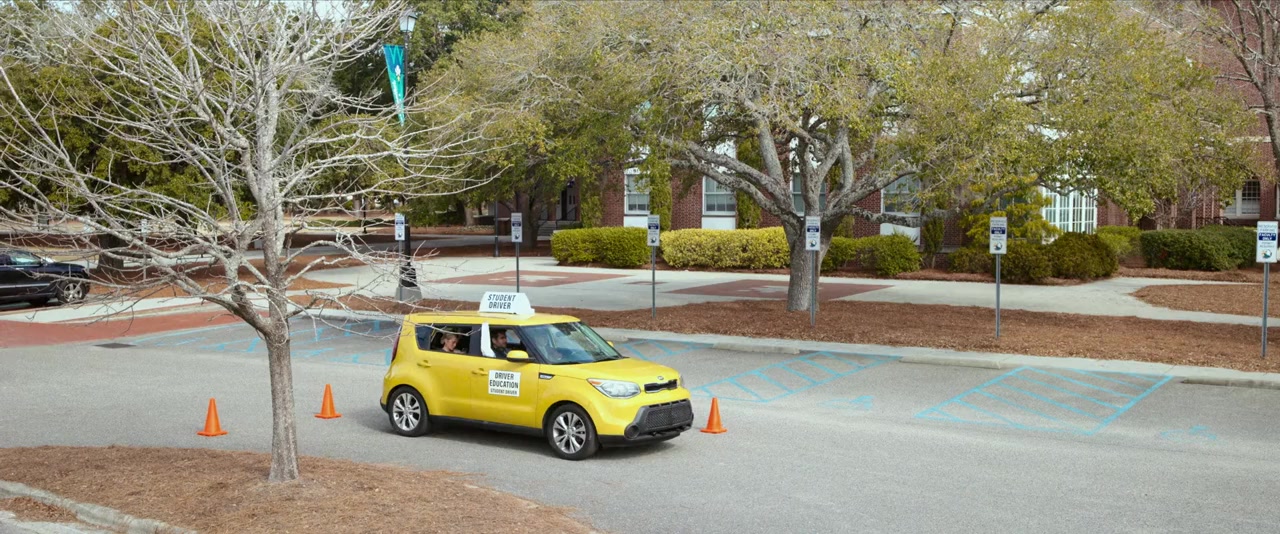 Driver's Ed screenshot 1
