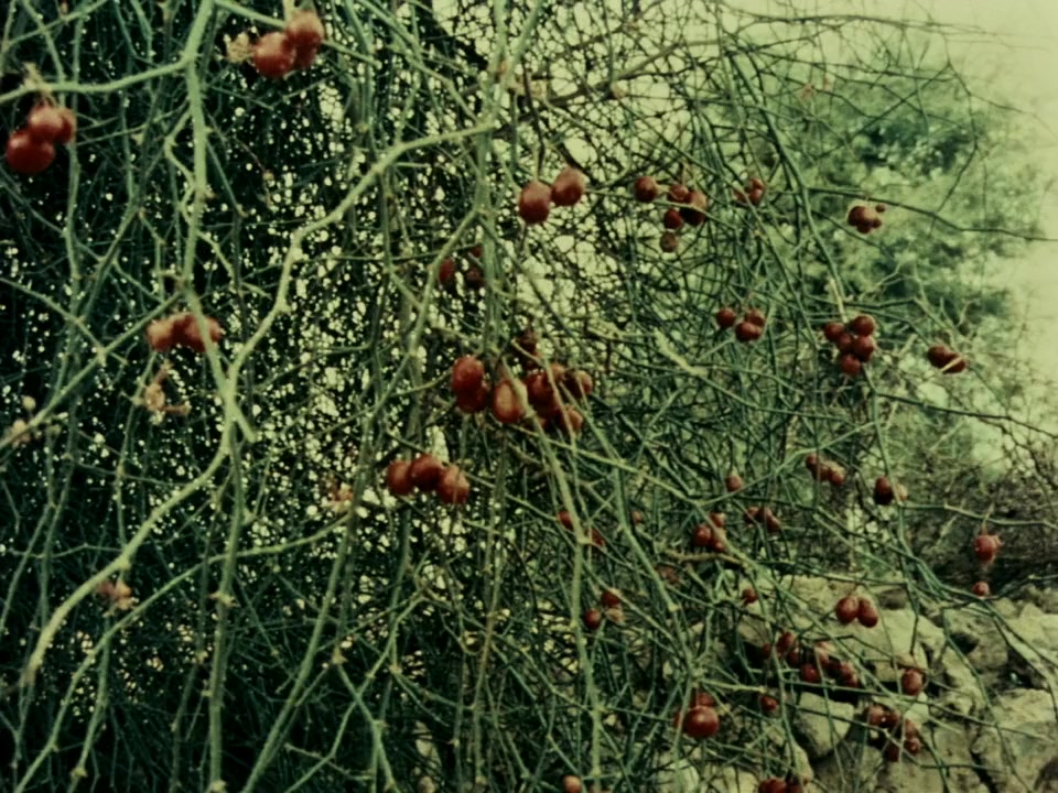 Duvidha screenshot 1