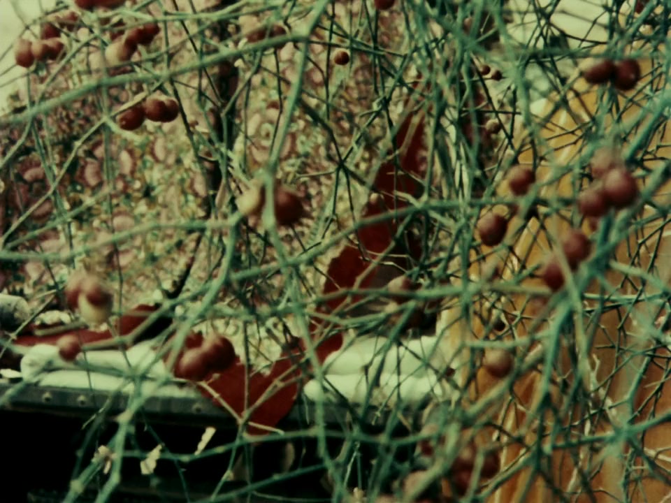 Duvidha screenshot 2